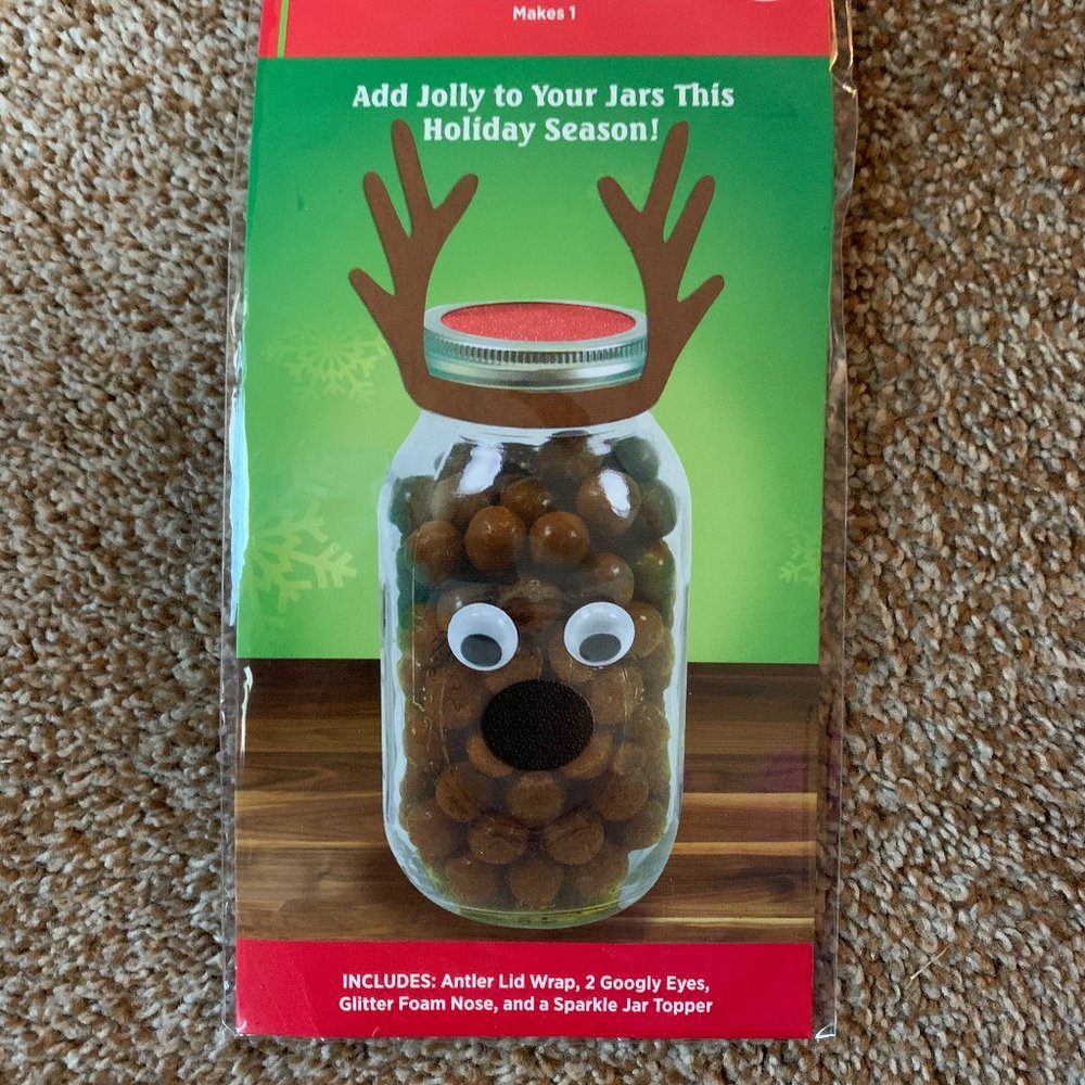 Holiday Style Reindeer character craft kit